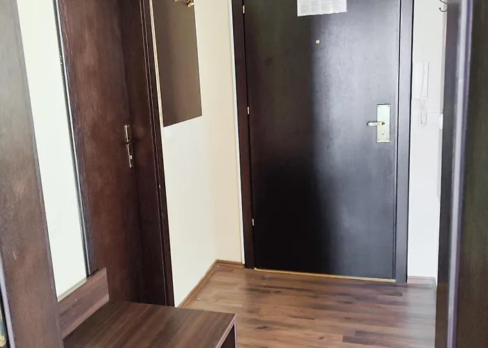 Dream 1broom Private *